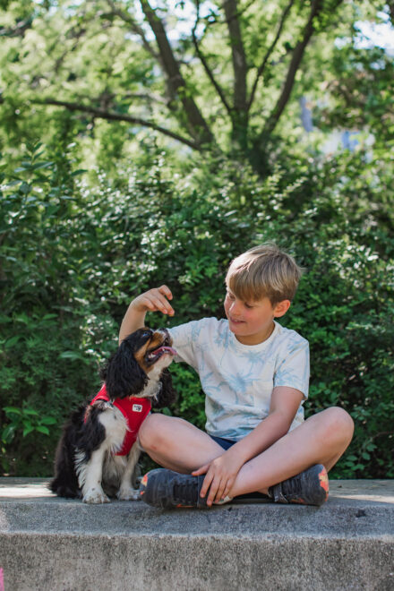 Boy feeding his dog sitting cross legged parc Monceau